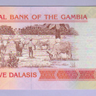 Gambia 5 Dalasis v.2013 UNC P-25 - pikkukuva 2