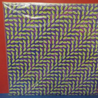 Animal Collective - Merriweather Post Pavilion M-/M- 2LP - pikkukuva 2