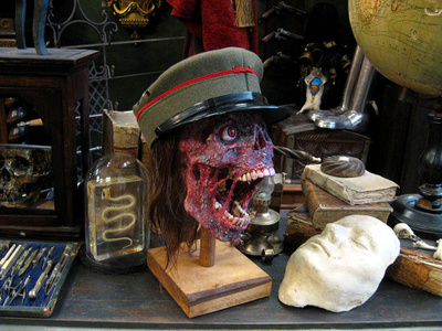 Uniikki makaaberi kallo ”Freddy´s cousin”
