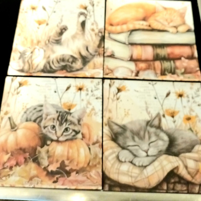 Kuviopaperi KISSAT / 4 kpl -setti / 14 x 14 cm