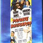 DVD Private Buckaroo - pikkukuva 1