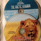 National Geographic :  Wildlife Favourites  -  (5 DVD) - pikkukuva 4