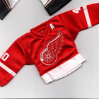 Henrik Zetterberg Detroit 07-08 Upper Deck Mini Jersey - pikkukuva 1