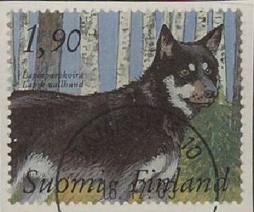 1989 Lapin porokoira loisto