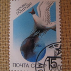 CCCP 1990: luonnonsuojelu - pikkukuva 4