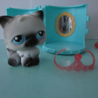 Littlest Pet Shop figuuri, persialainen kissa + talo - pikkukuva 4