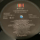 The WATERBOYS - Room To Roam - pikkukuva 2