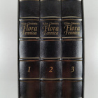 Elias Lönnrot : Flora Fennica 1-3 (numeroitu) - pikkukuva 1