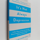Hilary Jacobs Hendel : It's not always depression : a new... - pikkukuva 1