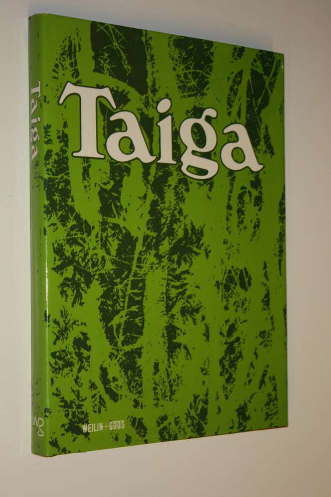Rostislav Dormidontov : Taiga