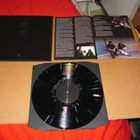 Supershine LP Supershine v.2021  UUSI - pikkukuva 2