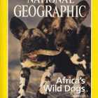 National Geographic vol.195 No.5 poster:  Caspian Sea - pikkukuva 1