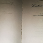 Lucinda Riley: Kadonnut sisar - pikkukuva 2