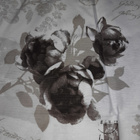 Sisustuskangas 155x140cm - pikkukuva 2