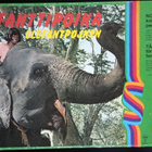 Elefanttipoika - lautapeli (Kirjalito) - pikkukuva 1