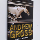 Andrew Gross : Syvissä vesissä - pikkukuva 1