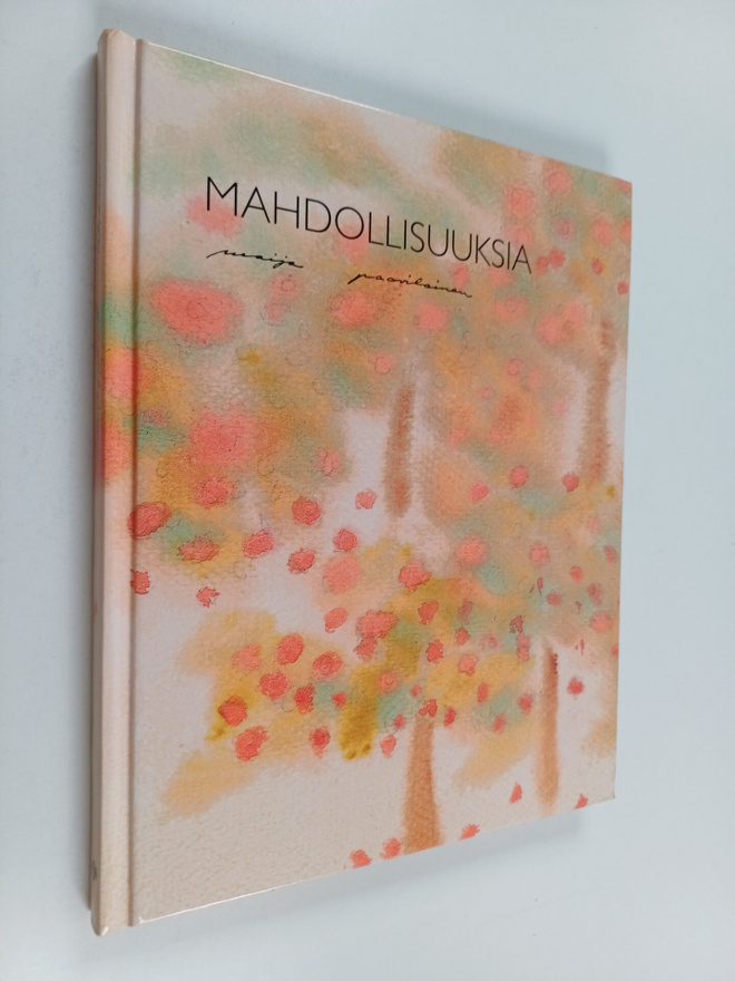 Maija Paavilainen : Mahdollisuuksia