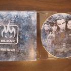 Bleak: What You Are CDS - pikkukuva 1
