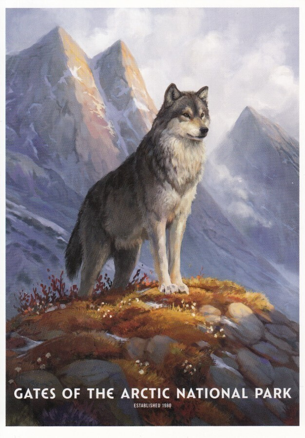 Gates of the Arctic National Park (postikortti)