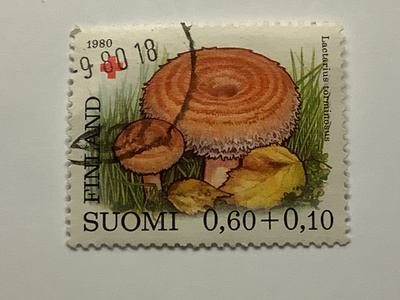 863 / 1980 SPR Sieniä - Karvarousku o leimattu