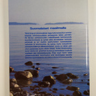 Jouni Korkiasaari : Suomalaiset maailmalla : Suomen siirt... - pikkukuva 2
