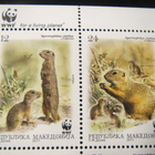 Makedonia: WWF pienoisarkki - pikkukuva 3
