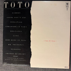 Toto Isolation lp - pikkukuva 2