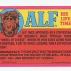 Purkkakuva ALF n:o 11 1987 - pikkukuva 2