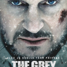Suden hetki (2011) Liam Neeson - pikkukuva 1
