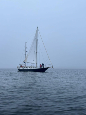 Endurance 44 13,5m/Yanmar 100hv