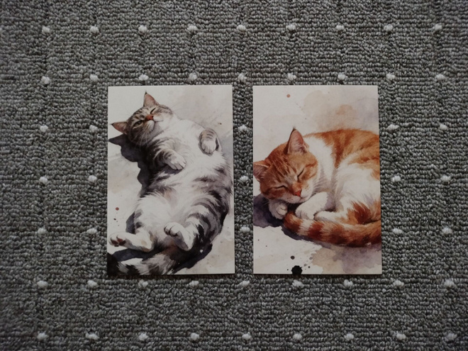 ~Kissa kortti~ 2kpl