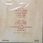 THE MILESTONES - HIGHER MOUNTAIN - CLOSER SUN - M-/M 180g LP - pikkukuva 2