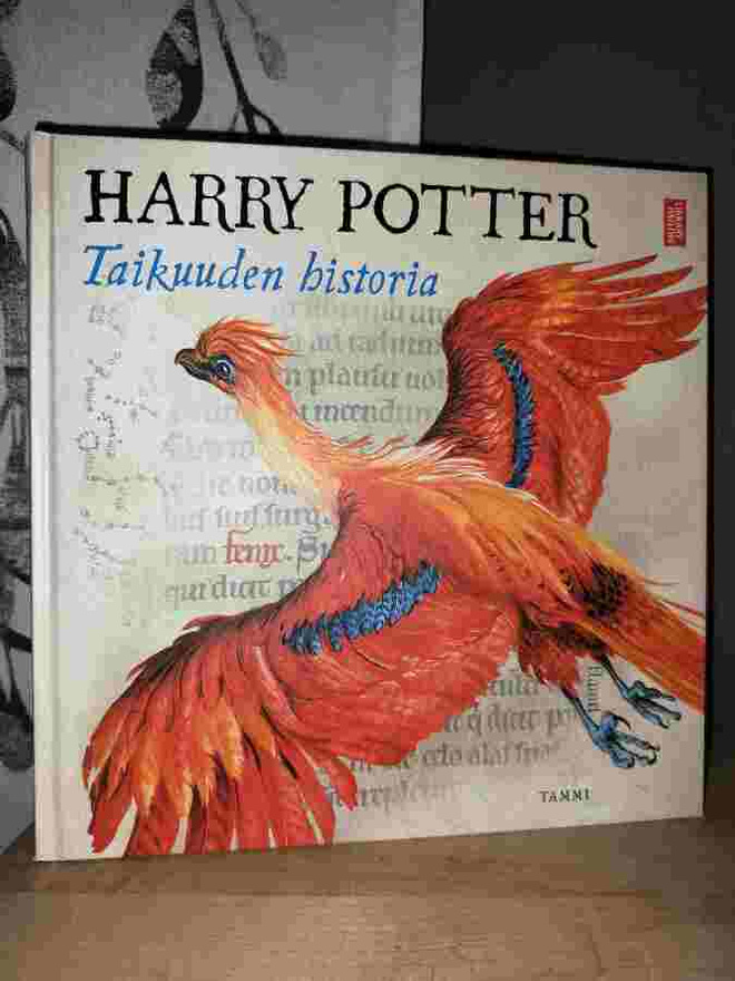 Harry Potter - Taikuuden historia - Tammi - Uusi