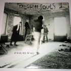 LP  PILGRIM SOULS IS THIS ALL OF US?  LP 1989 - pikkukuva 1