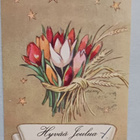 Wendelin: Tulppaaneja rukiilla sidottuna, tähtiä, p. 1952 - pikkukuva 1