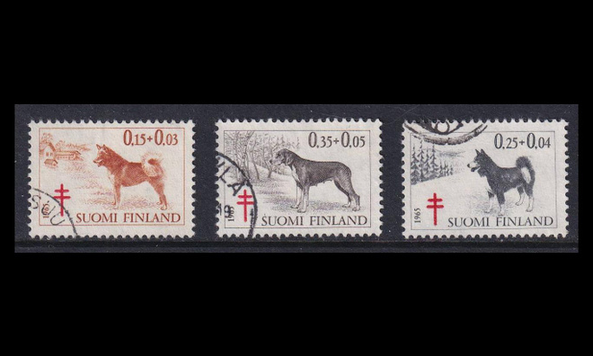 599-601 o Tuberkuloosi koiria (1965)