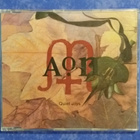AON - Quiet Joys - CD - pikkukuva 1