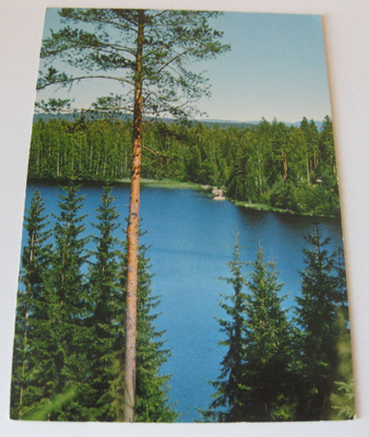 Järvimaisema kulkematon