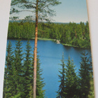 Järvimaisema kulkematon - pikkukuva 1