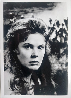 Pressikuva: Vastatuuleen (Mary Larkin)