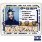 Ol' Dirty Bastard :  Return To The 36 Chambers  -  CD - pikkukuva 1