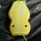 Soittorasia hippo - pikkukuva 2