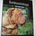 BORDEAUXINDOGGI (Suomen suosituimmat koirarodut) Sis.pk:t - pikkukuva 1
