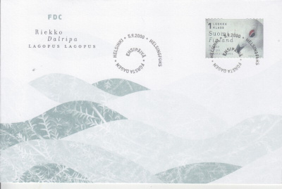 FDC 2000 riekko.