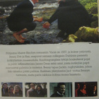 YSTÄVÄPIIRI  / CIRCLE OF FRIENDS DVD - pikkukuva 2