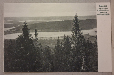 Kuopio: Näköala Puijonmäeltä *** (2224)