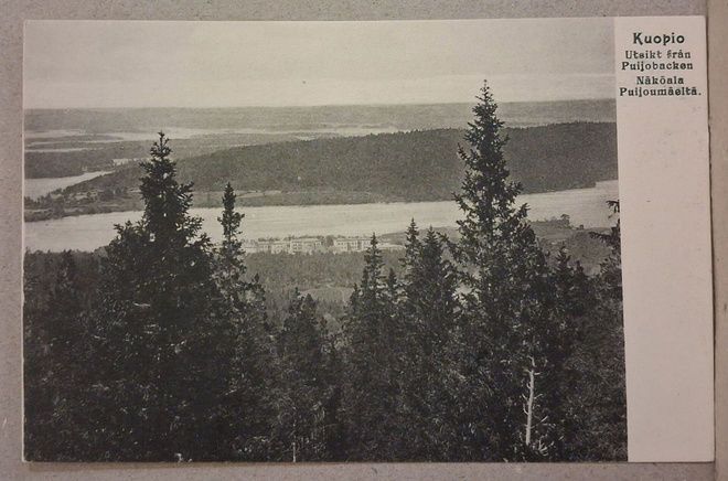Kuopio: Näköala Puijonmäeltä *** (2224)