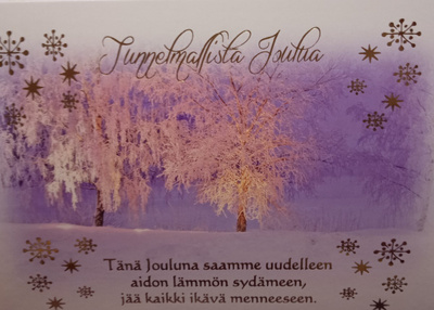 NO 8 - TÄNÄ JOULUNA SAAMME ..