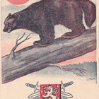 A.TILGMANN SUOMUSSALMI - RAATE KULKEMATON - pikkukuva 1