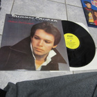 JOHN GOUCAR - CHESTNUT STREET INCIDENT : UUDENVEROINEN LP - pikkukuva 1